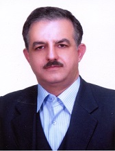 Reza Yadi Pour
